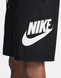 Nike FN3303-010