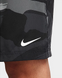 Nike FN3046-010