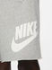 Nike DX0502-063