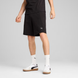 Puma 684730-01