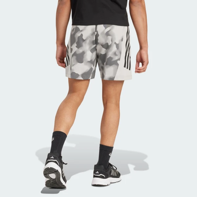IW6081