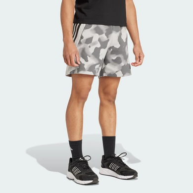 IW6081
